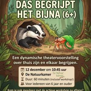 Theater Mier – Try-out: Das begrijpt het bijna (6+)